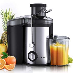 Juicer Multifunctional Separate Stainless Steel (Option: Silver-AU)