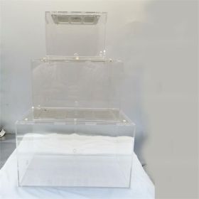 The Ant Nest Is Connected With An Acrylic Activity Box (size: small)